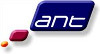 Ant Ltd Logo